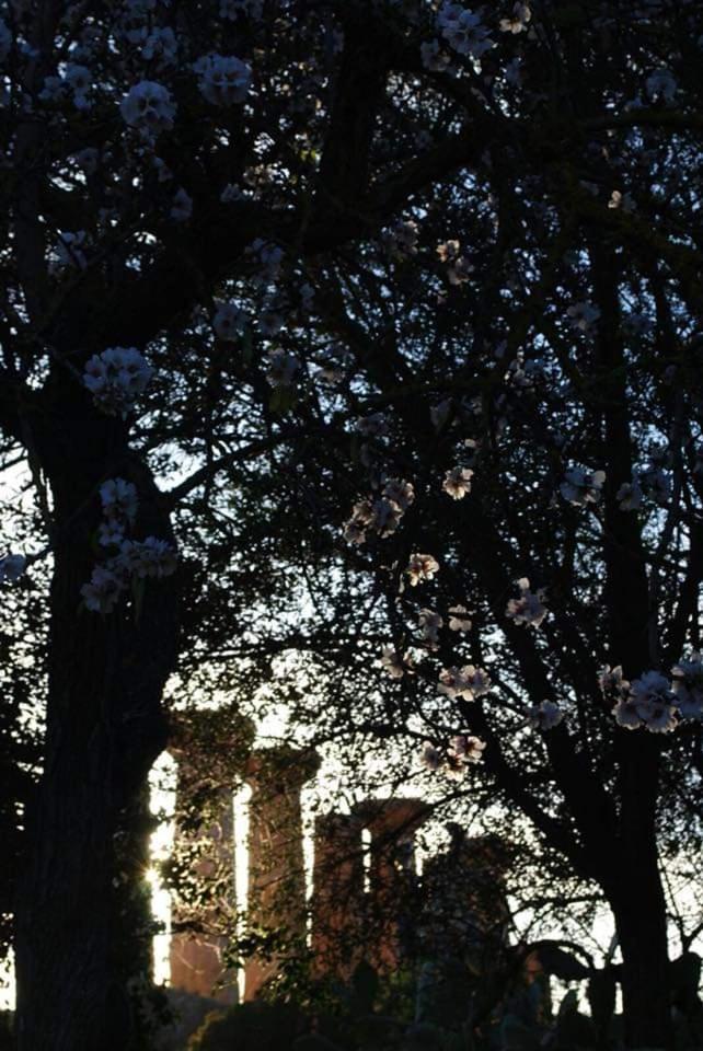 Zagara Home Porto Empedocle Esterno foto
